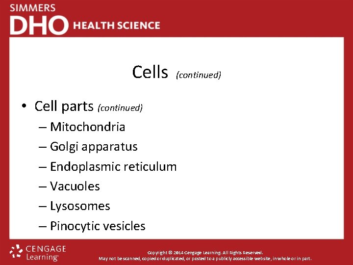 Cells (continued) • Cell parts (continued) – Mitochondria – Golgi apparatus – Endoplasmic reticulum