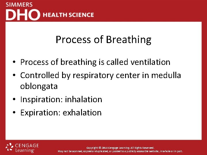 Process of Breathing • Process of breathing is called ventilation • Controlled by respiratory