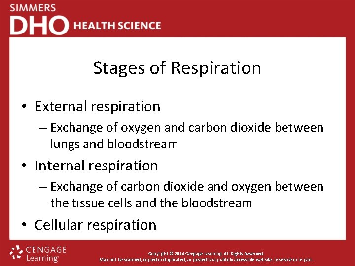 Stages of Respiration • External respiration – Exchange of oxygen and carbon dioxide between