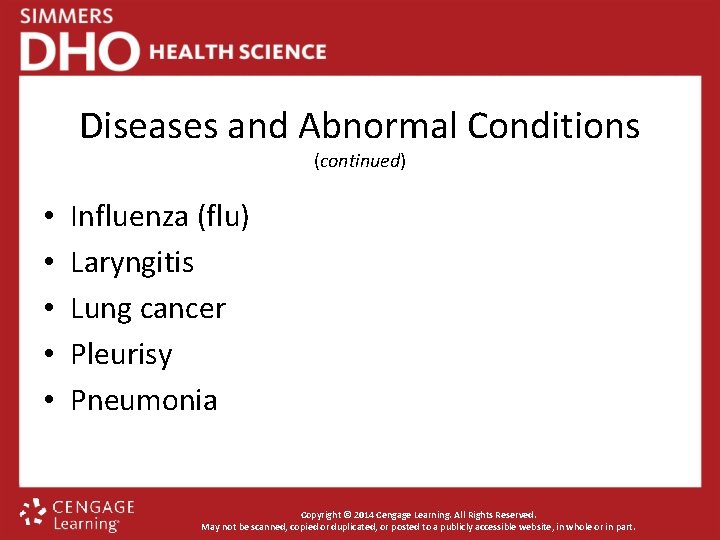 Diseases and Abnormal Conditions (continued) • • • Influenza (flu) Laryngitis Lung cancer Pleurisy