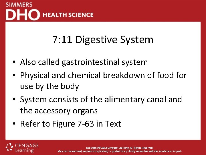 7: 11 Digestive System • Also called gastrointestinal system • Physical and chemical breakdown