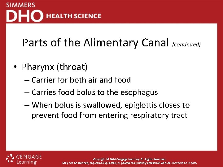 Parts of the Alimentary Canal (continued) • Pharynx (throat) – Carrier for both air