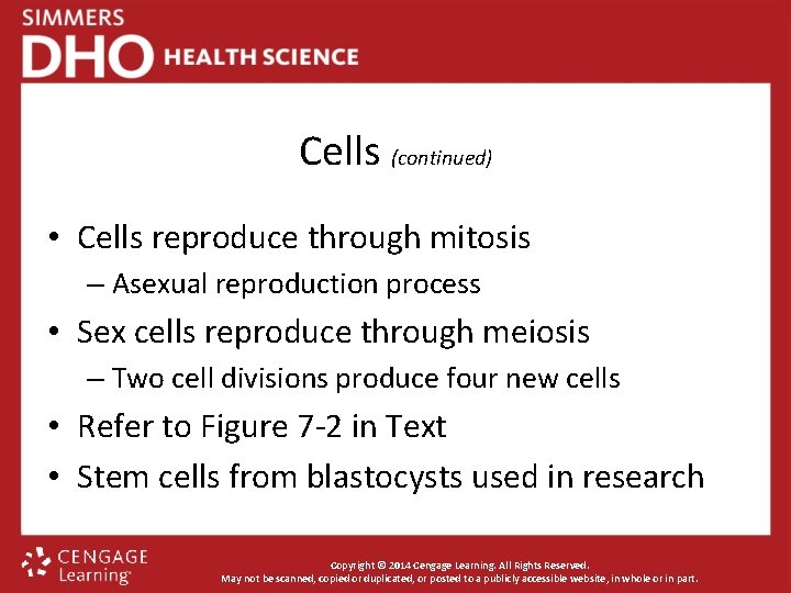 Cells (continued) • Cells reproduce through mitosis – Asexual reproduction process • Sex cells