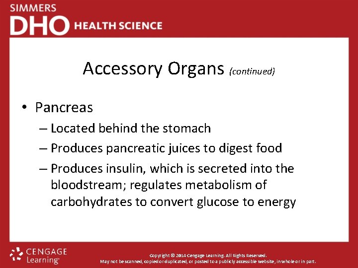 Accessory Organs (continued) • Pancreas – Located behind the stomach – Produces pancreatic juices