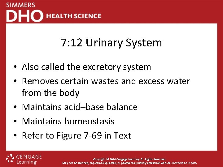 7: 12 Urinary System • Also called the excretory system • Removes certain wastes