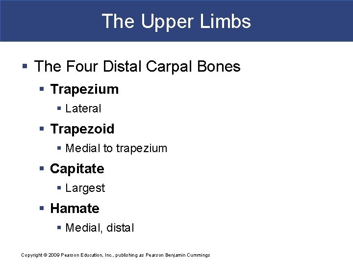 The Upper Limbs § The Four Distal Carpal Bones § Trapezium § Lateral §