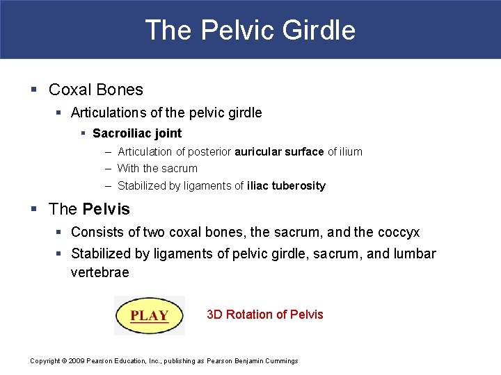 The Pelvic Girdle § Coxal Bones § Articulations of the pelvic girdle § Sacroiliac