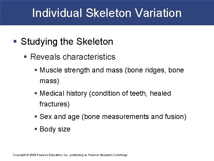 Individual Skeleton Variation § Studying the Skeleton § Reveals characteristics § Muscle strength and