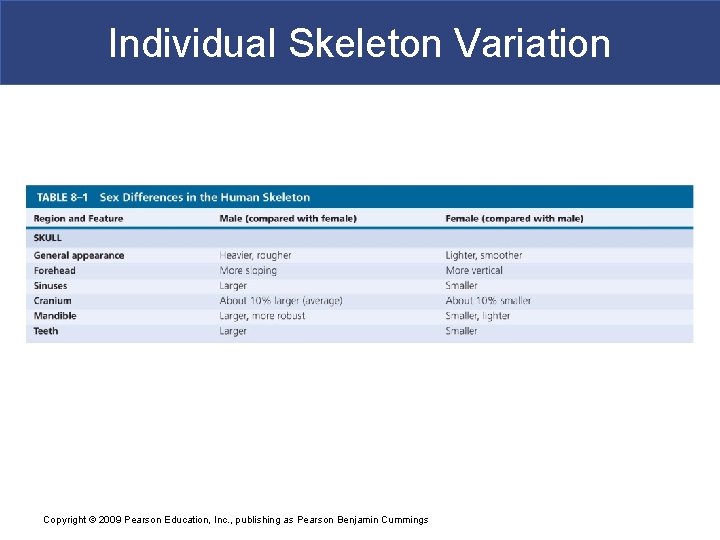 Individual Skeleton Variation Copyright © 2009 Pearson Education, Inc. , publishing as Pearson Benjamin