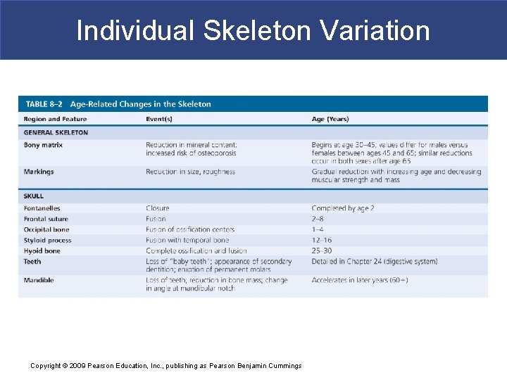 Individual Skeleton Variation Copyright © 2009 Pearson Education, Inc. , publishing as Pearson Benjamin