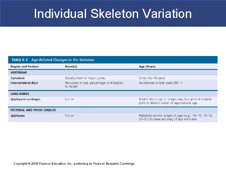 Individual Skeleton Variation Copyright © 2009 Pearson Education, Inc. , publishing as Pearson Benjamin
