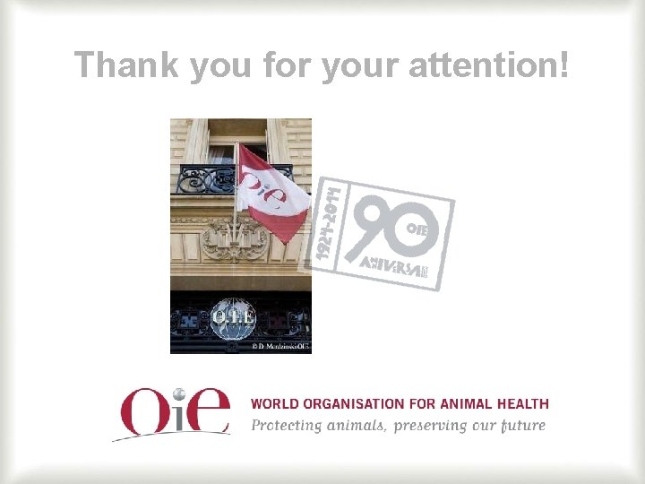 Thank you for your attention! 36 