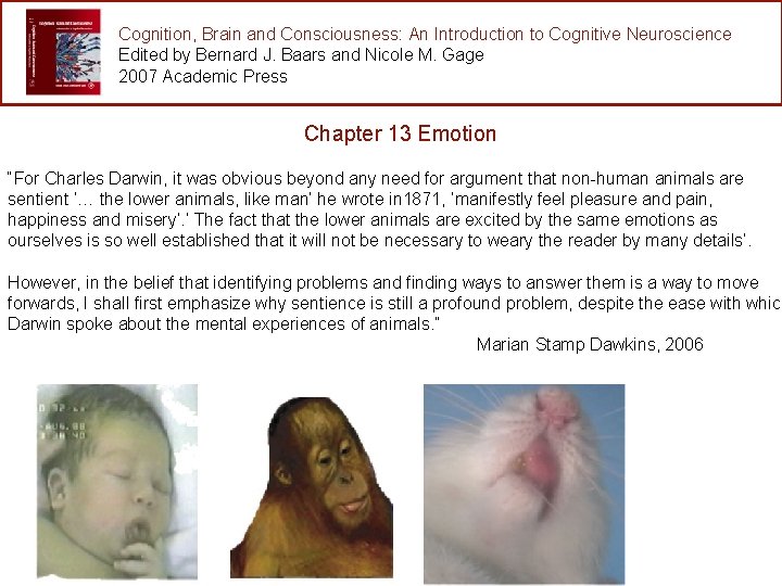 Cognition, Brain and Consciousness: An Introduction to Cognitive Neuroscience Edited by Bernard J. Baars