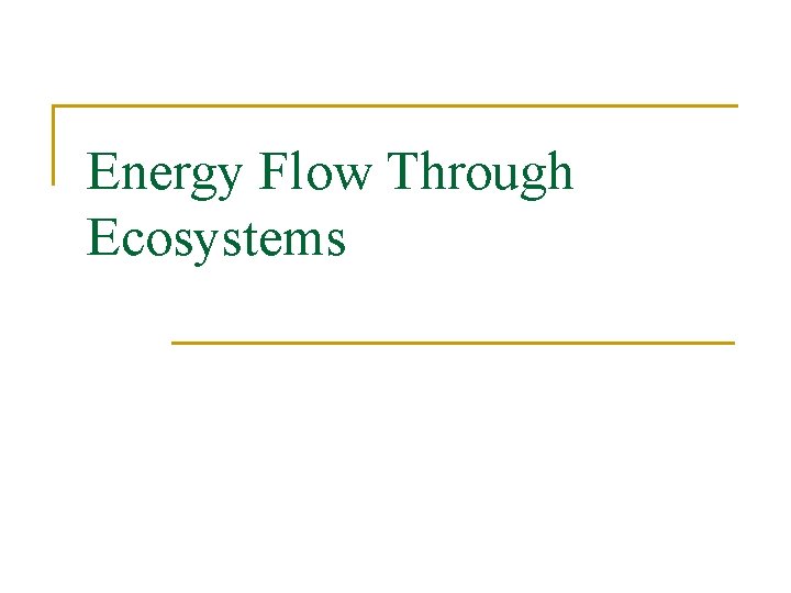 Energy Flow Through Ecosystems 