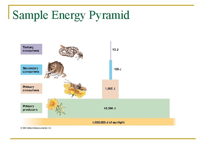 Sample Energy Pyramid 