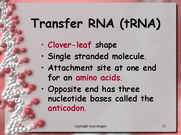 Transfer RNA (t. RNA) • Clover-leaf shape • Single stranded molecule. • Attachment site