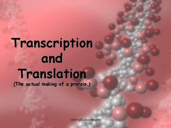 Transcription and Translation (The actual making of a protein. ) copyright cmassengale 15 