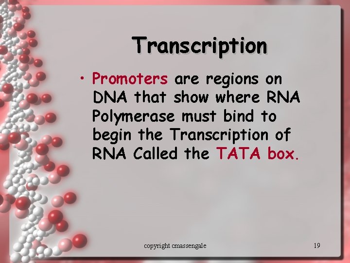 Transcription • Promoters are regions on DNA that show where RNA Polymerase must bind