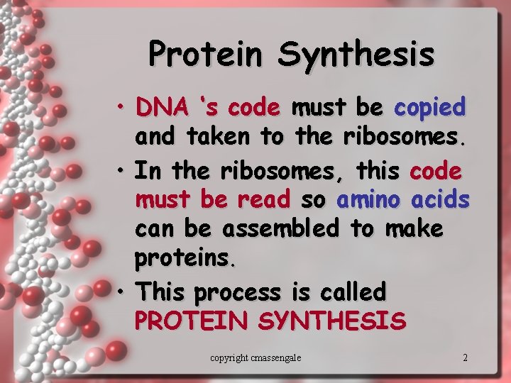 Protein Synthesis • DNA ‘s code must be copied and taken to the ribosomes.