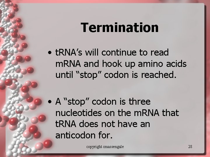 Termination • t. RNA’s will continue to read m. RNA and hook up amino