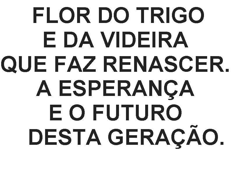 FLOR DO TRIGO E DA VIDEIRA QUE FAZ RENASCER. A ESPERANÇA E O FUTURO