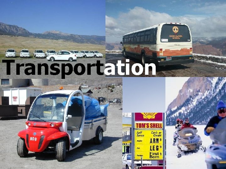 Transportation 