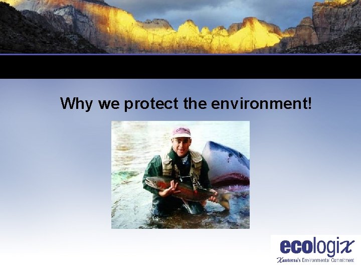 Why we protect the environment! 