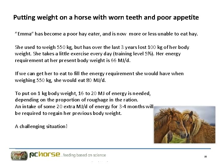 Putting weight on a horse with worn teeth and poor appetite ”Emma” has become