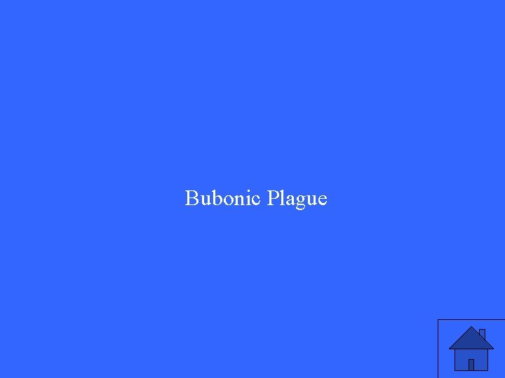 Bubonic Plague Bubonic Plague