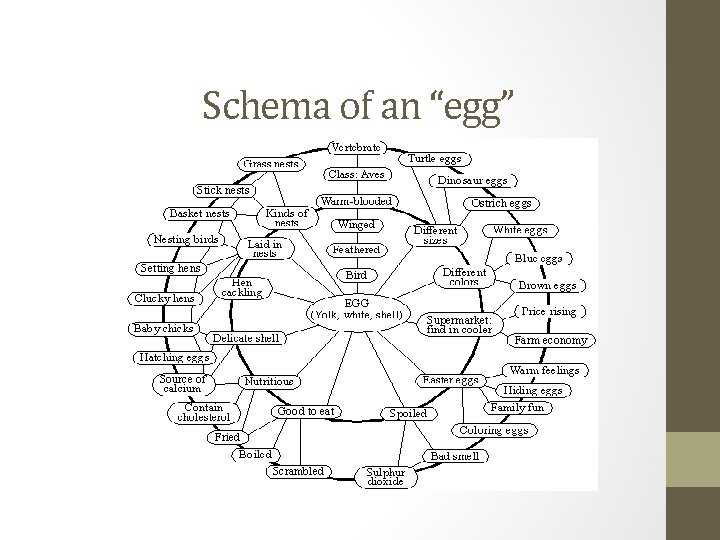 Schema of an “egg” 