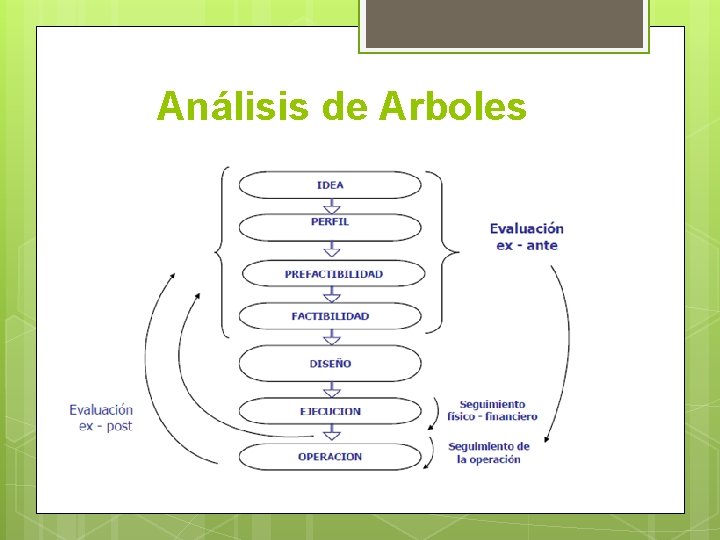 Análisis de Arboles 