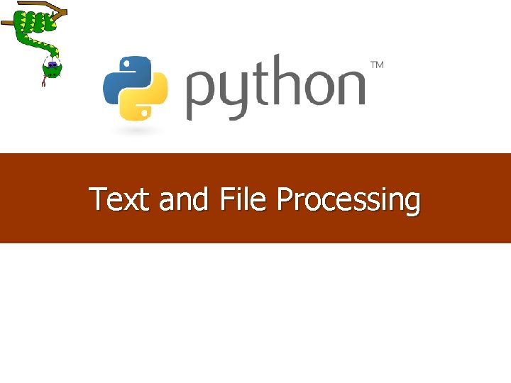 Text and File Processing 