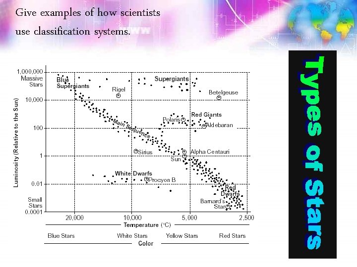 Give examples of how scientists use classification systems. 