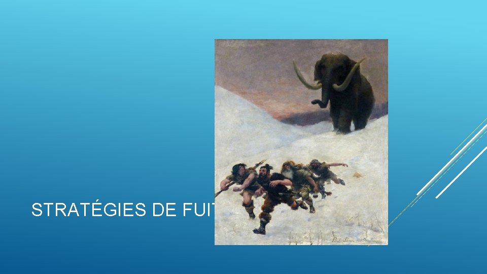 STRATÉGIES DE FUITE STRATÉGIES DE FUITE