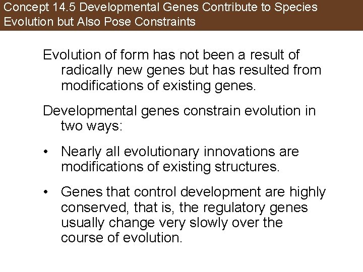Concept 14. 5 Developmental Genes Contribute to Species Evolution but Also Pose Constraints Evolution