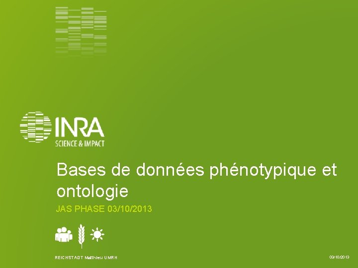 Bases de données phénotypique et ontologie JAS PHASE 03/10/2013 REICHSTADT Matthieu UMRH 03/10/2013 