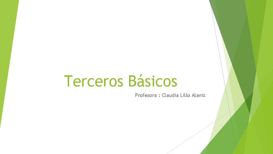 Terceros Básicos Profesora : Claudia Lillo Alaniz 