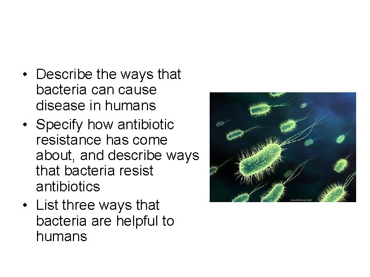  • Describe the ways that bacteria can cause disease in humans • Specify