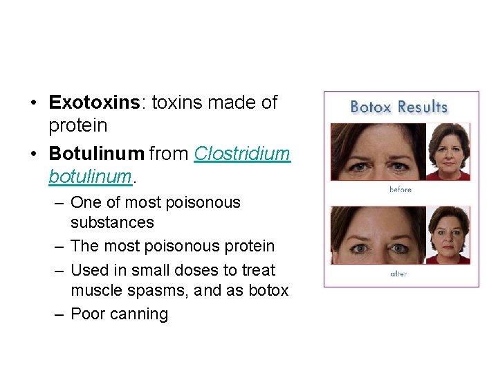  • Exotoxins: toxins made of protein • Botulinum from Clostridium botulinum. – One