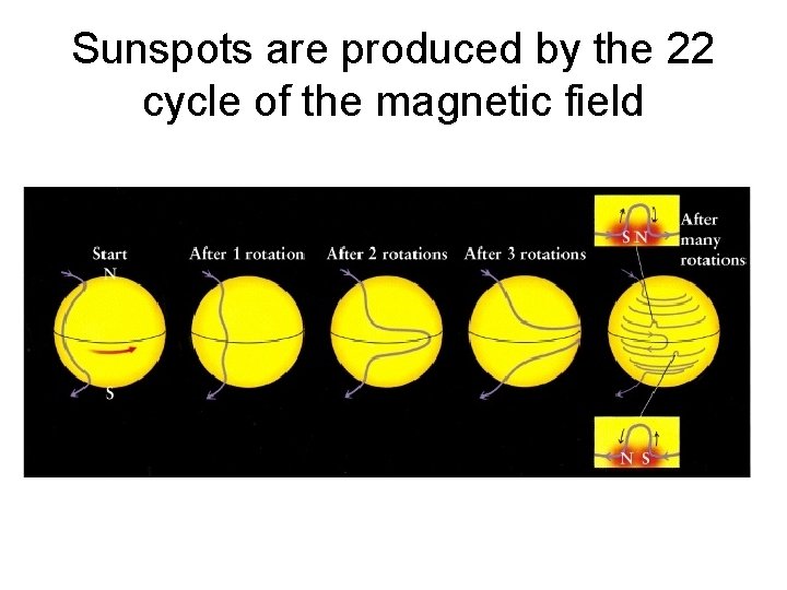 Sunspots are produced by the 22 cycle of the magnetic field 