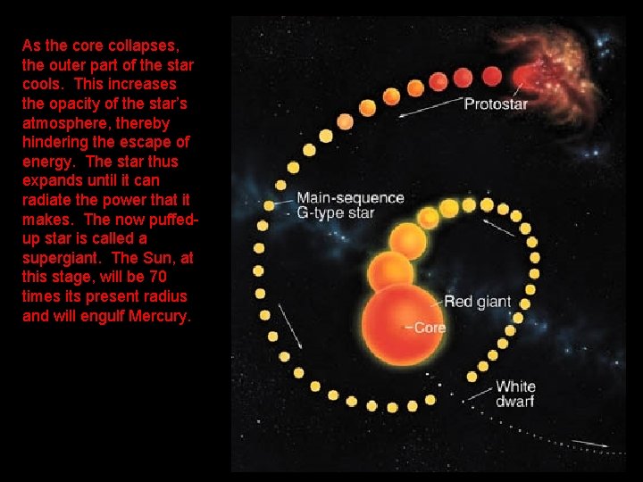 As the core collapses, the outer part of the star cools. This increases the