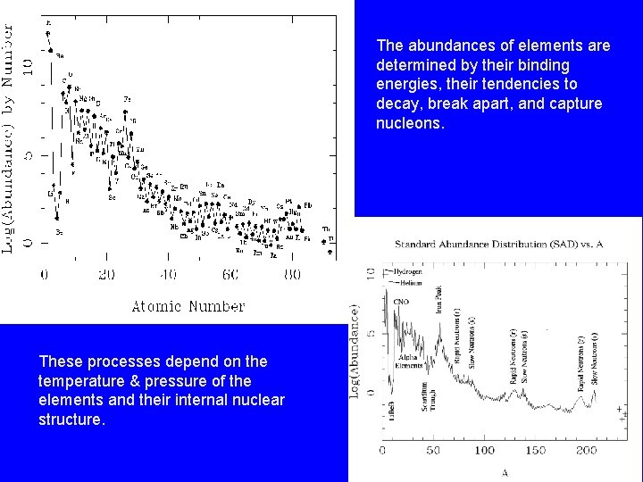 The abundances of elements are determined by their binding energies, their tendencies to decay,