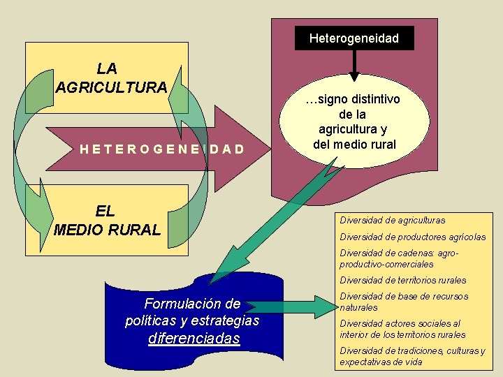 Heterogeneidad LA AGRICULTURA HETEROGENEIDAD EL MEDIO RURAL …signo distintivo de la agricultura y del