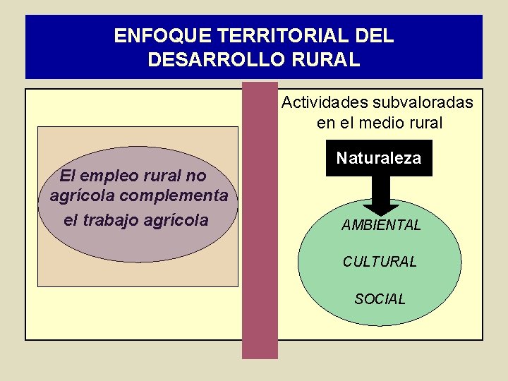 ENFOQUE TERRITORIAL DESARROLLO RURAL Actividades subvaloradas en el medio rural El empleo rural no