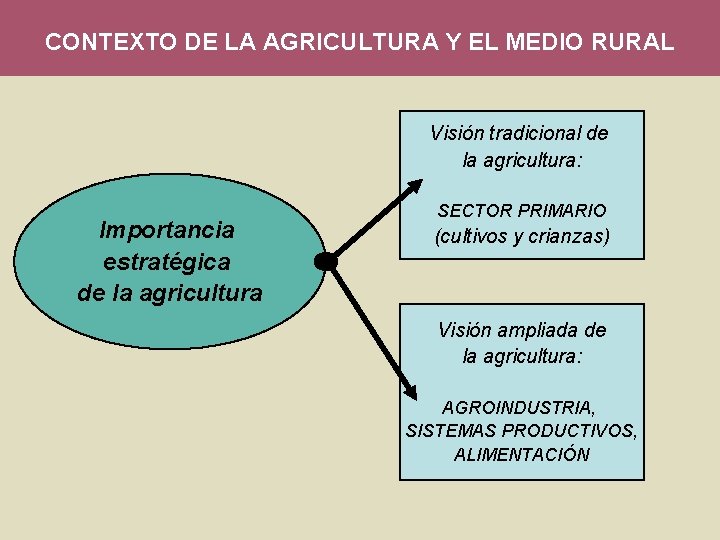 CONTEXTO DE LA AGRICULTURA Y EL MEDIO RURAL Visión tradicional de la agricultura: Importancia