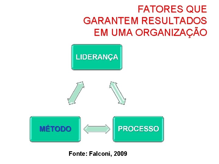 FATORES QUE GARANTEM RESULTADOS EM UMA ORGANIZAÇÃO Fonte: Falconi, 2009 