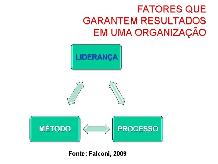 FATORES QUE GARANTEM RESULTADOS EM UMA ORGANIZAÇÃO Fonte: Falconi, 2009 