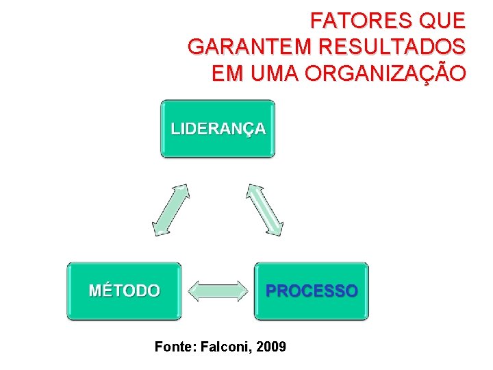 FATORES QUE GARANTEM RESULTADOS EM UMA ORGANIZAÇÃO Fonte: Falconi, 2009 