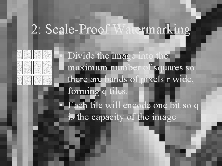 2: Scale-Proof Watermarking • Divide the image into the maximum number of squares so
