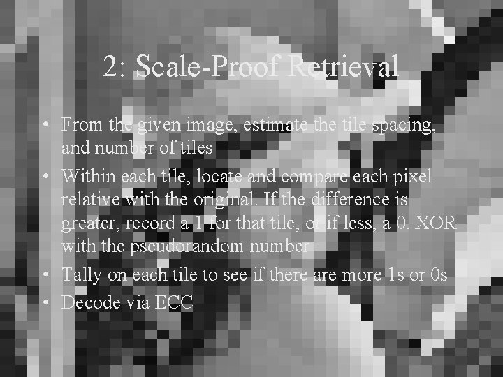 2: Scale-Proof Retrieval • From the given image, estimate the tile spacing, and number